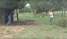 Texas rancher vs alligator: Rancher wins