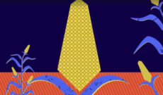 Can we solve world hunger with a giant ear of corn?