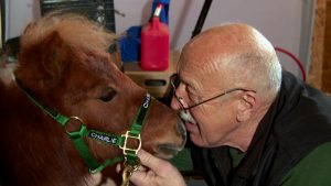 WEIDMAN, MICH.- Dr. Pol goes nose to nose with a mini-horse named Charlie. Charlie works as a service animal, visting nursing homes and military veterans. (Photo Credit: National Geographic Channels)