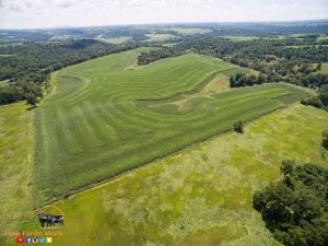 Ryan Kuster, How Farms Work