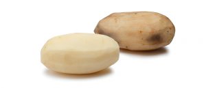 Innate Gen 1 Russet Burbank potato (left) next to conventional Russet Burbank potato. Courtesy of J.R. Simplot Company