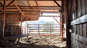 inset-faith_farming-002