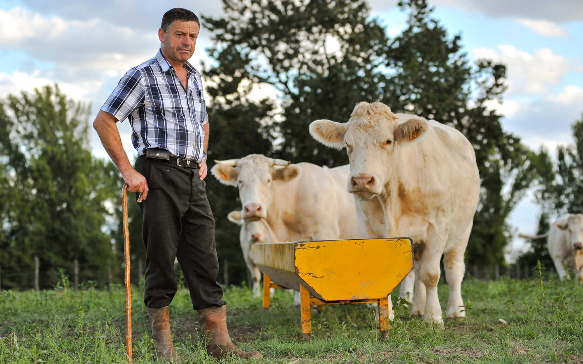 wisconsin-farmer-shows-the-world-how-farms-work-agdaily