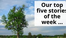 Friday Favorites: Top five AGDAILY stories July 14- 20