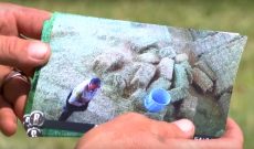 New Mexico deputy accused of stealing hay from farmer