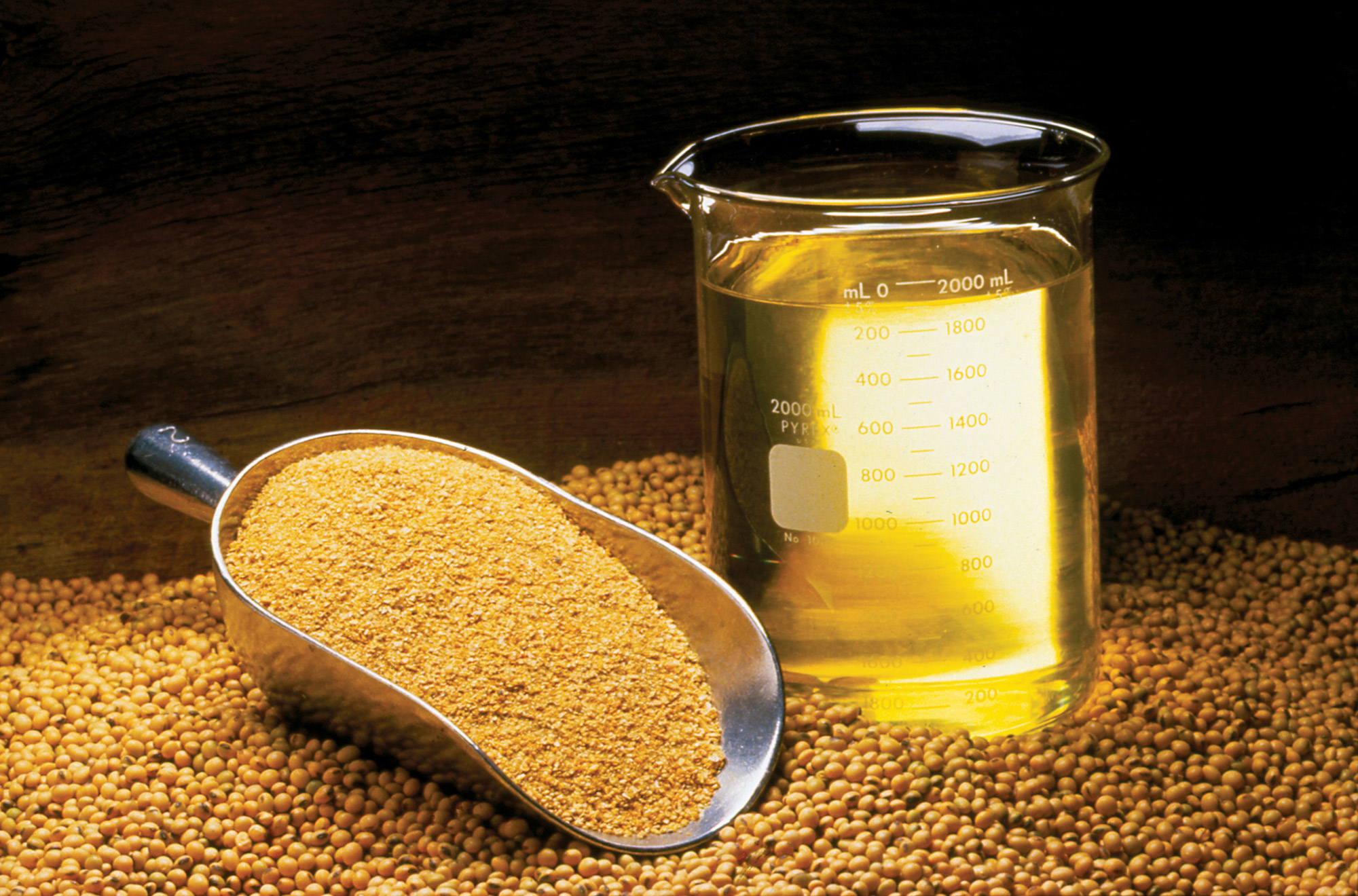 Soybean Oil Uses Purpose at Joann Lockridge blog