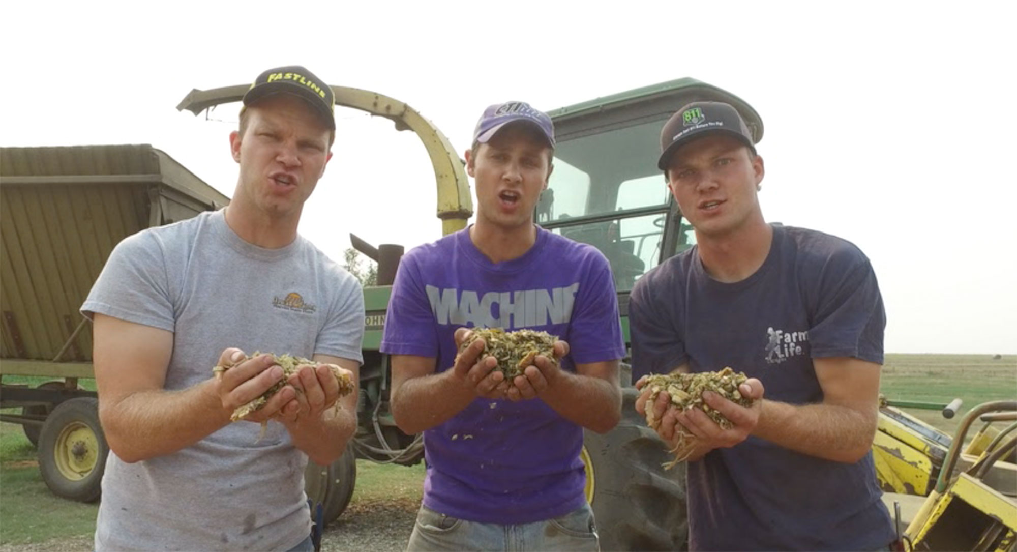 petersons forage