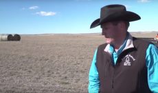 South Dakota rancher: Only way to fix drought is moisture