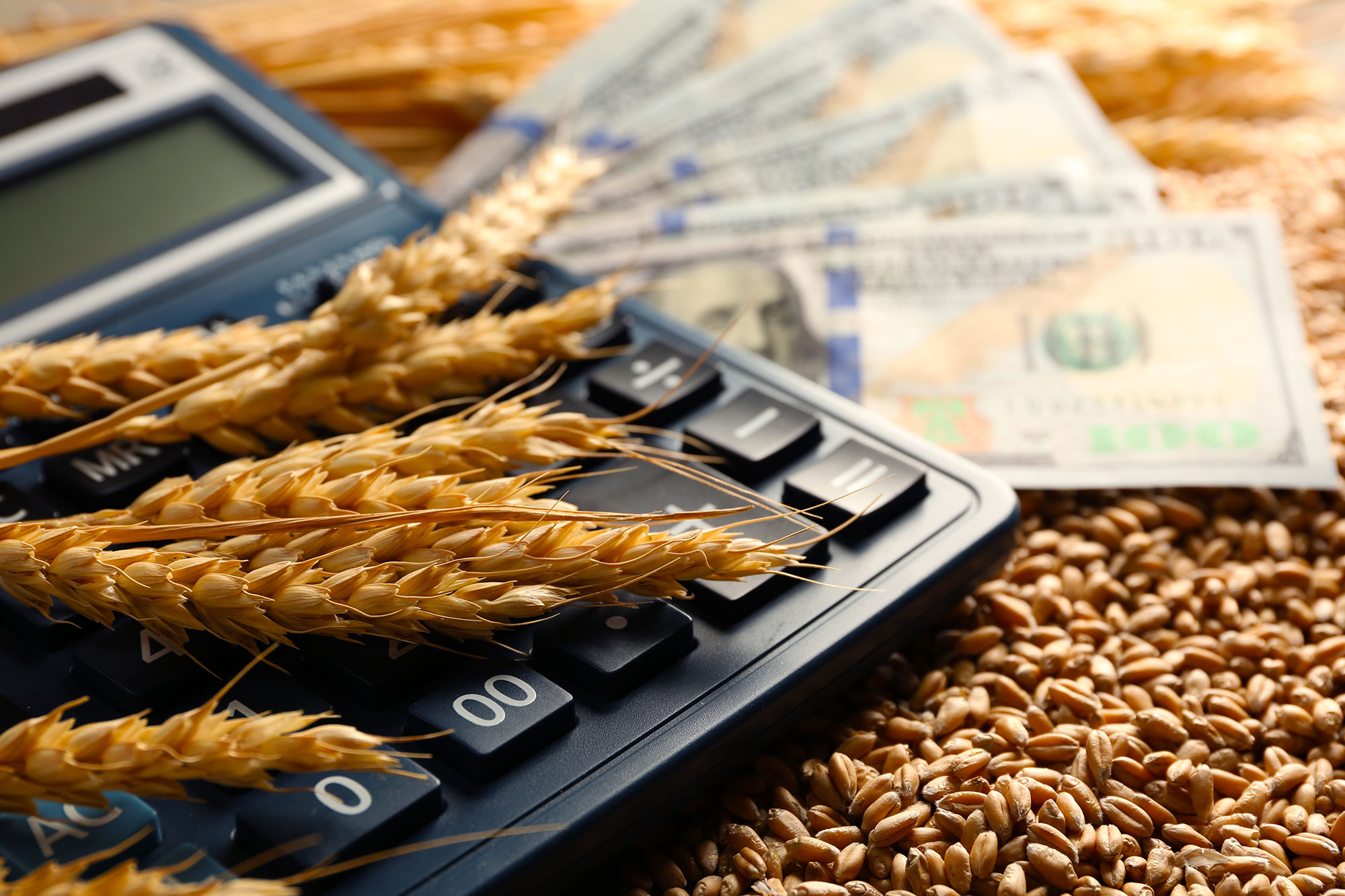 Деньги сена. Пшеница. Сельское хозяйство деньги. Субсидии сельское хозяйство. Кредитование сельского хозяйства.