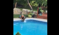 Kansas farmer rescues baby deer from pool