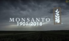 Nick Saik’s farewell tribute to Monsanto — in song