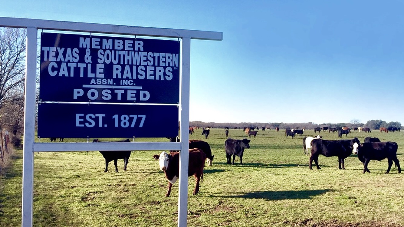 texas-man-indicted-on-charges-of-livestock-theft-agdaily