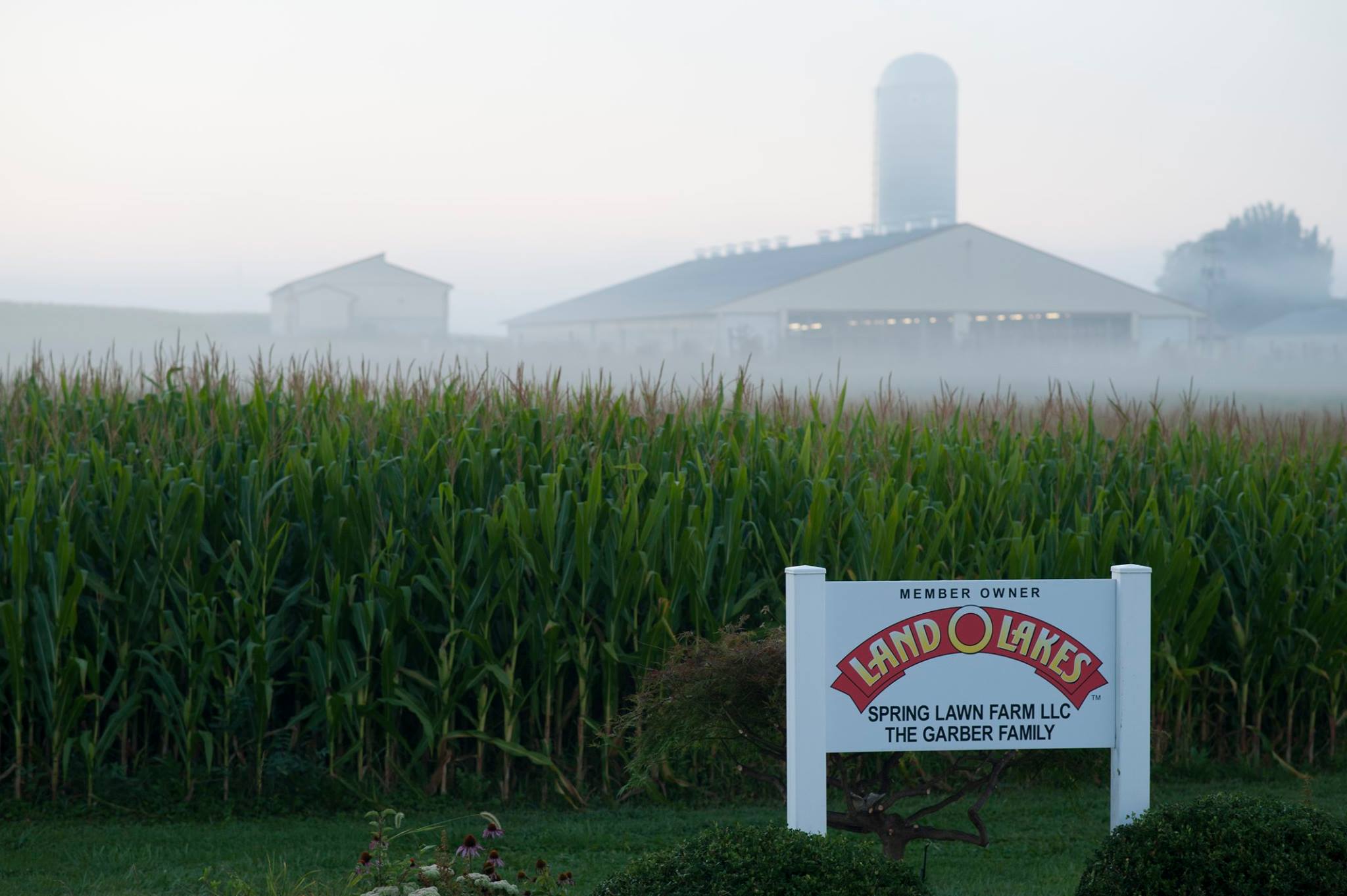 land-o-lakes-sustain-debuts-digital-stewardship-platform-agdaily