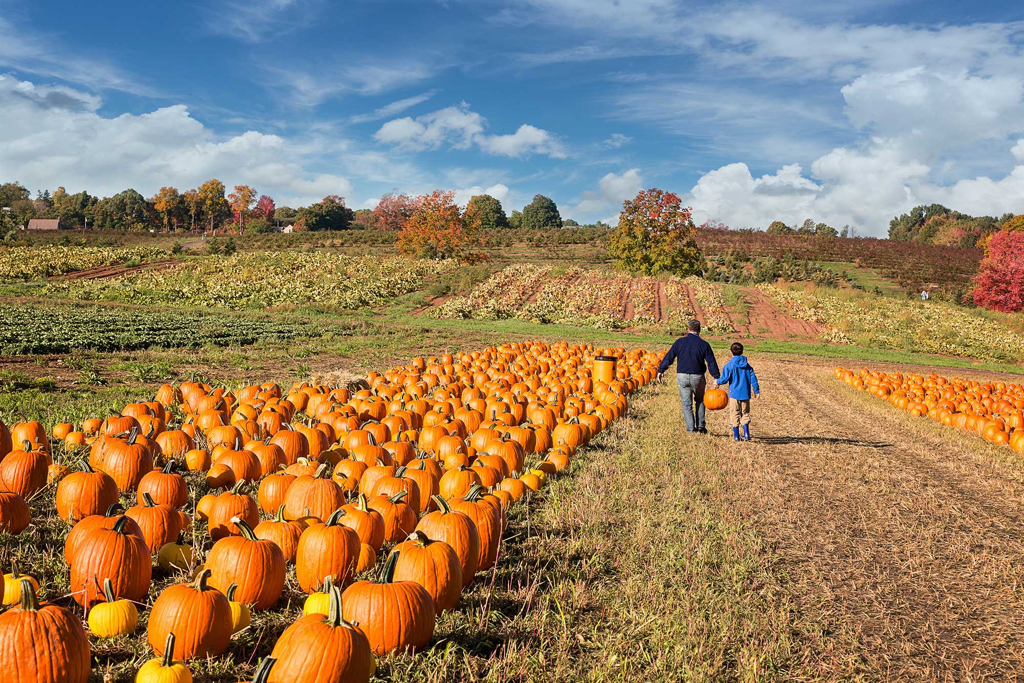 5 Tips For Making Agritourism Part Of Your Farm Agdaily - 