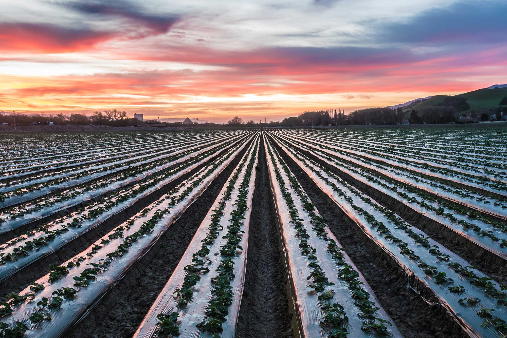 the-invisible-dance-of-agriculture-in-the-salinas-valley-agdaily