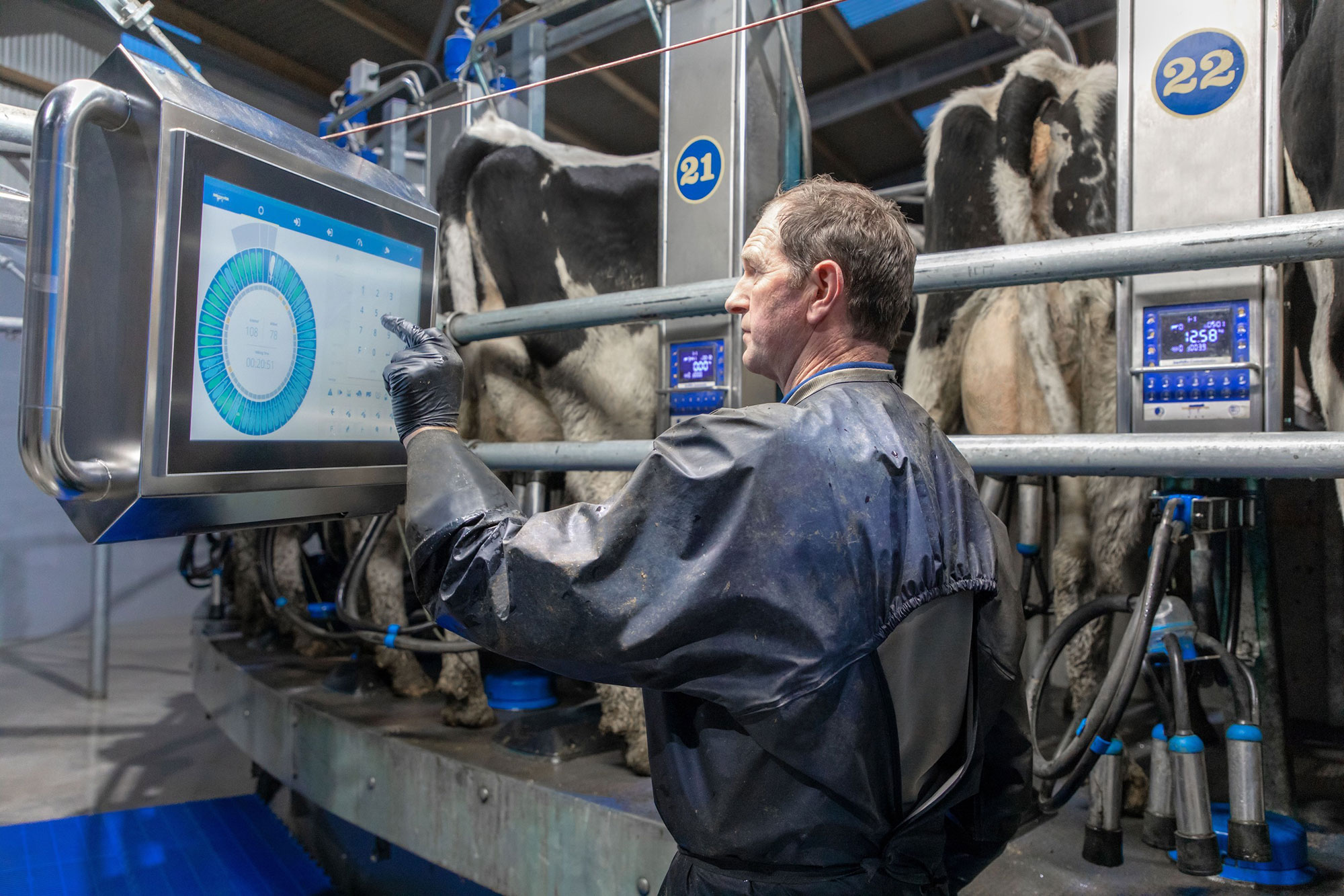 Dairymaster introduces artificial intelligence to rotary milking | AGDAILY