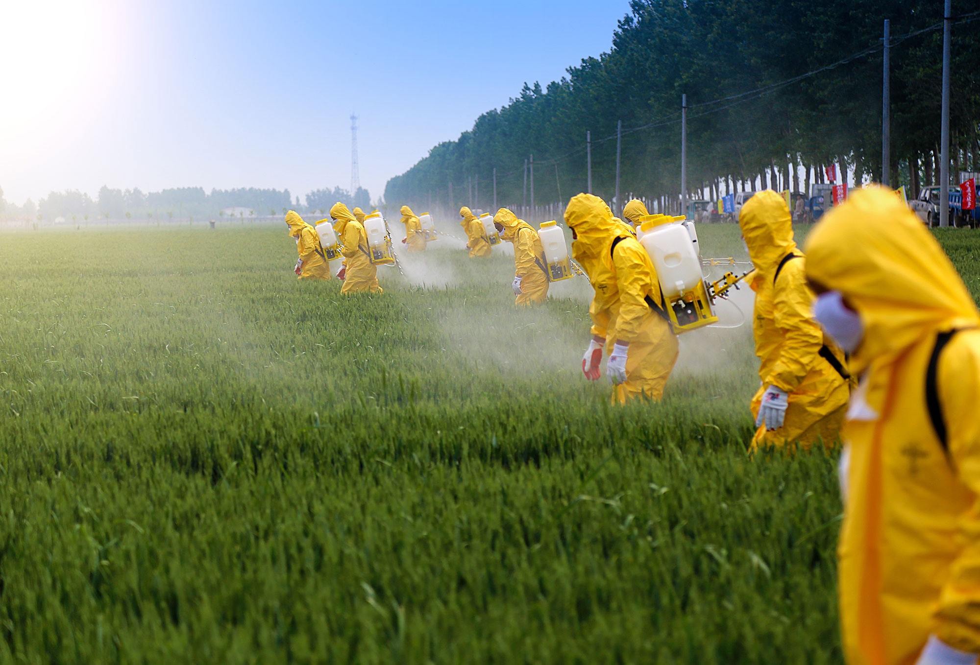 Do Herbicides Cause Pollution