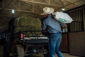 polaris ranch collection