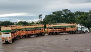 road train