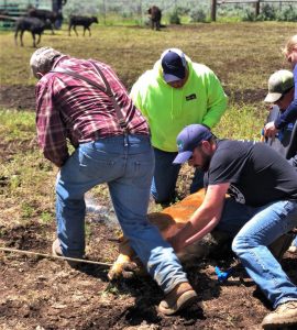 farmer veterans