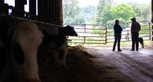 farmer veterans