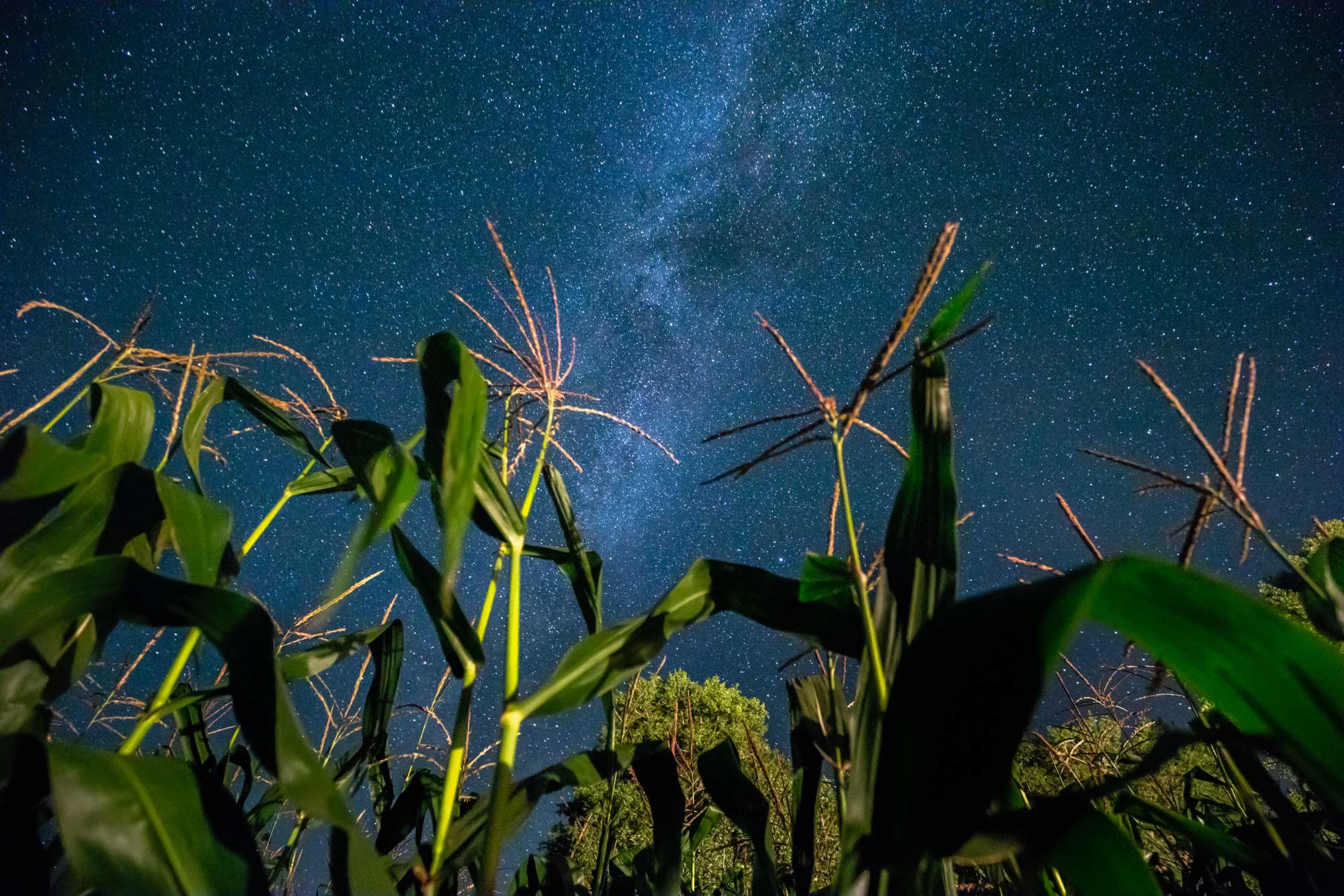 Illinois corn farmers partner with NASA to address food security AGDAILY
