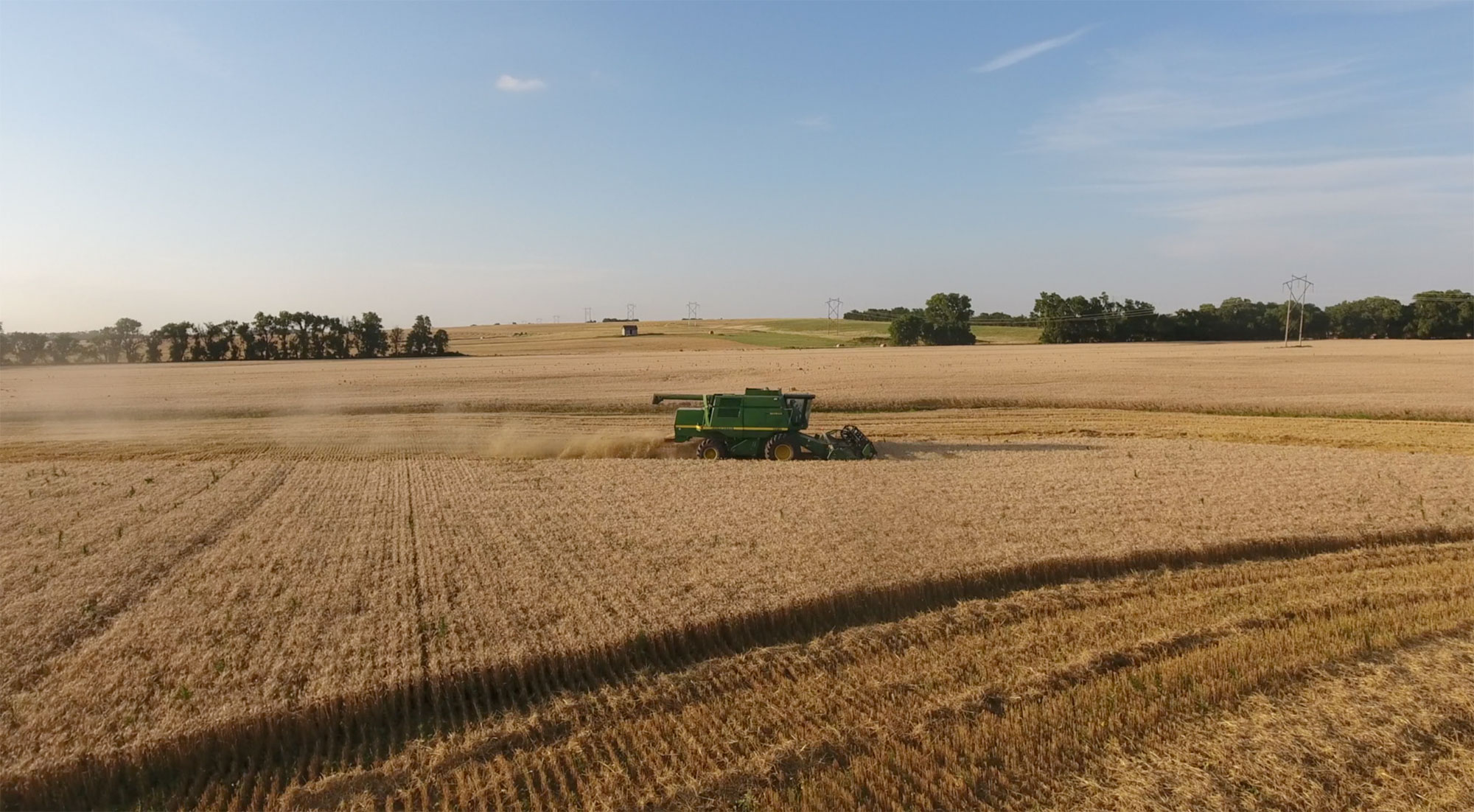 crazy grain