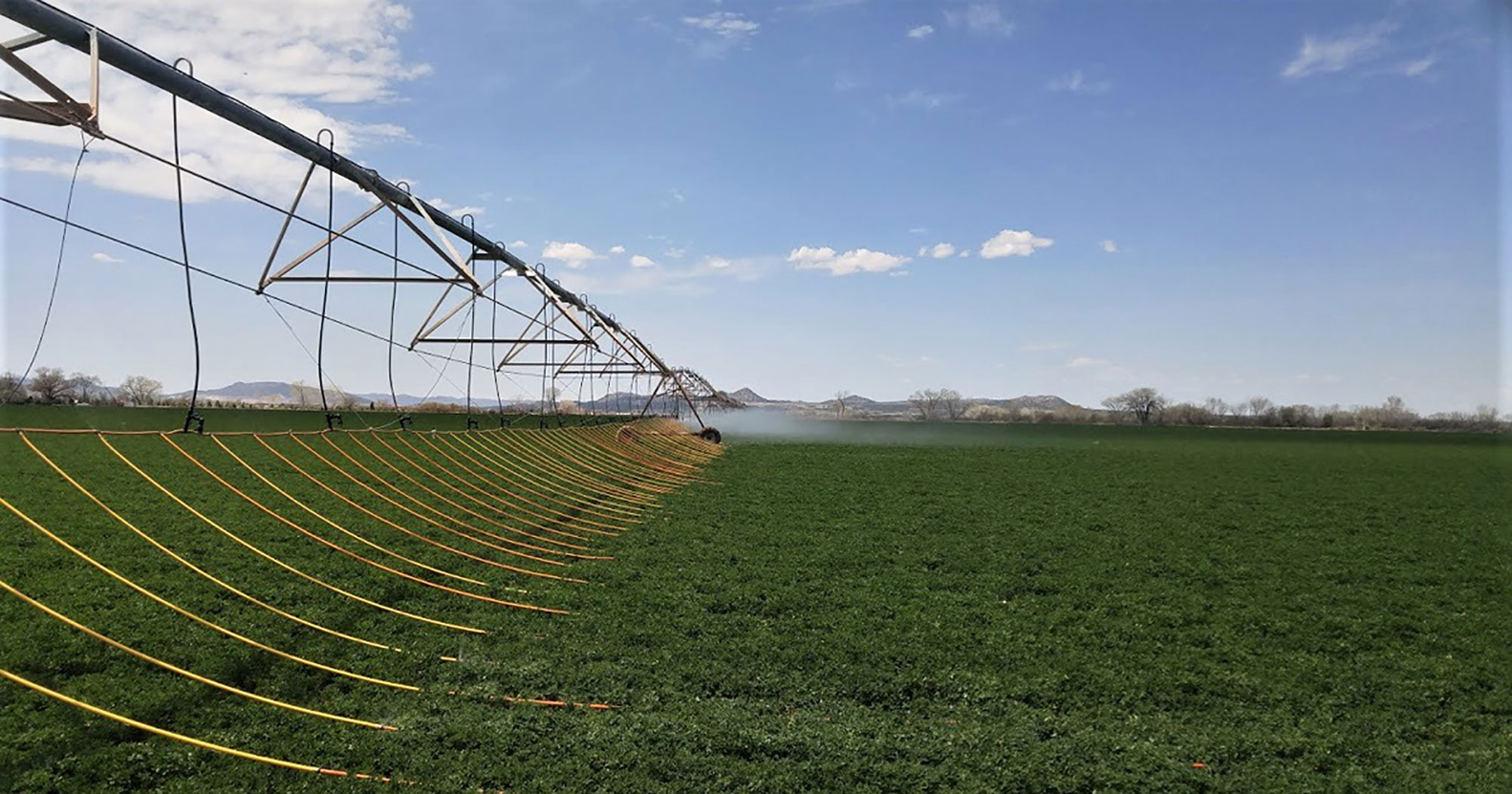 Water management can help grow farm profits - AGDAILY