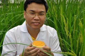 Golden Rice Project