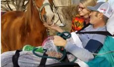 Cowboy battling cancer gets one last visit with his beloved horse
