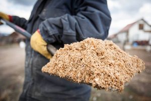 spent grain